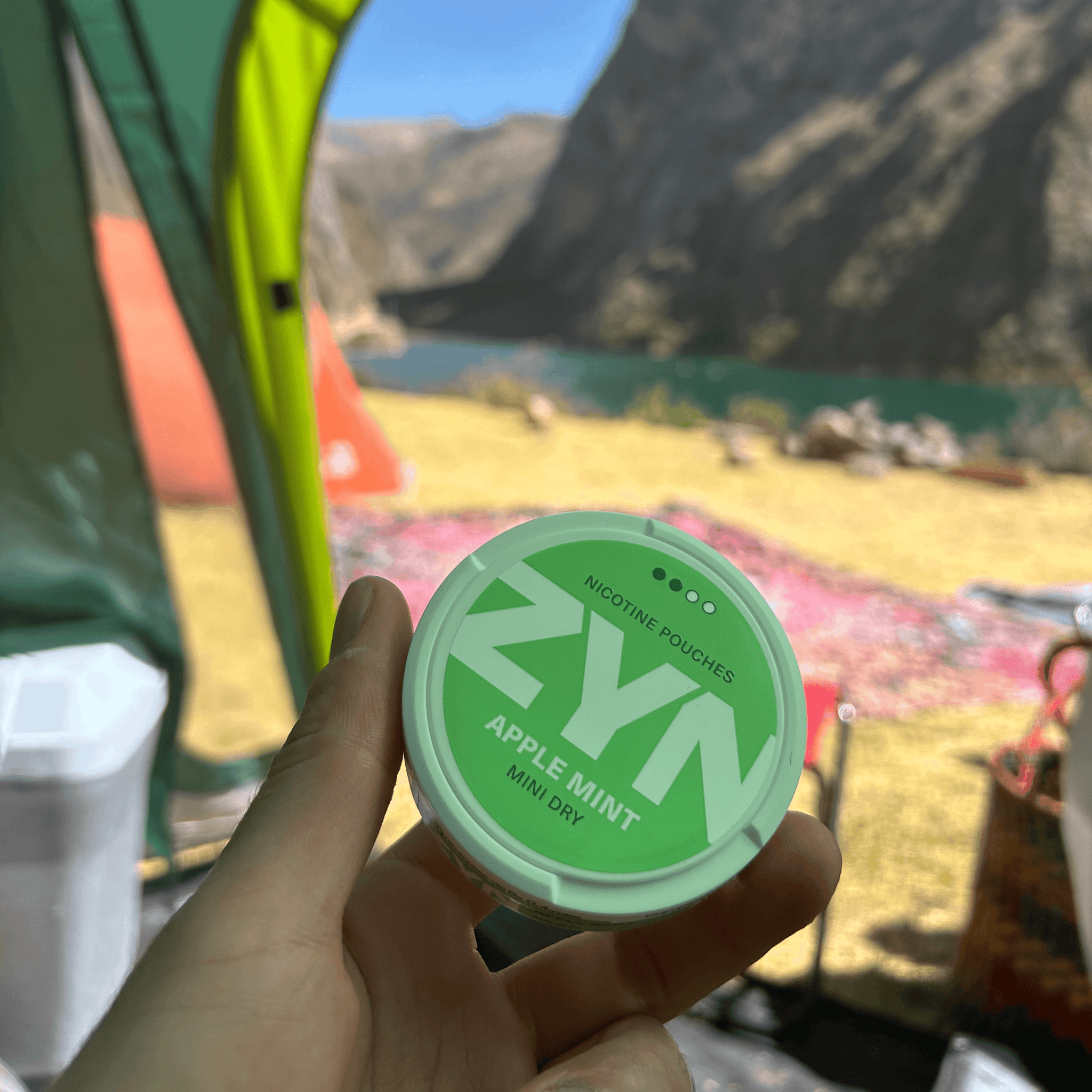 Imagen de producto ZYN #4 - Bolsitas de nicotina sin tabaco
